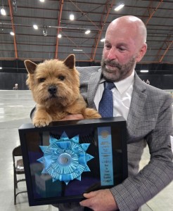 Verdant's O What A Conundrum