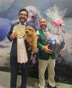 Yarrow Venerie Rambling Man