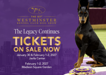 151-tickets on sale- email