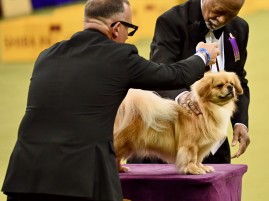 DSC_2595 - Photo credit- Geoffrey Potter