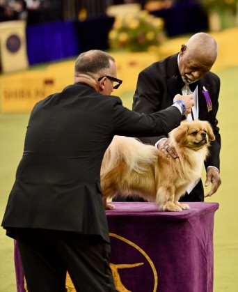 DSC_2595 - Photo credit- Geoffrey Potter