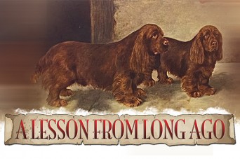 F A Lesson From Long Ago