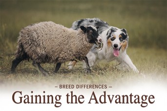 F BD Gaining The Advantage