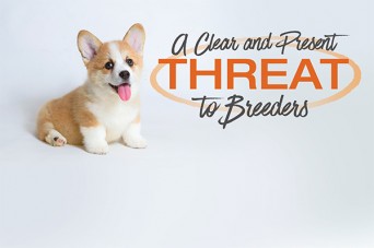 F Clear and Present Threat