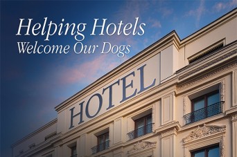 F Helping Hotels