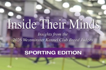 F Inside Their Minds