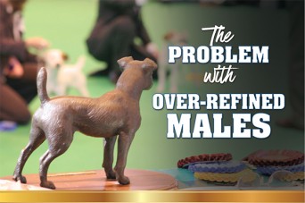 F The Problem With Males