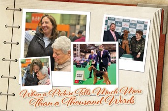 F When A Photo Says It All