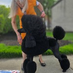 Lakeridge You're So Vain At Highgate