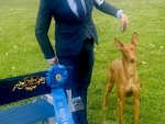 Osiris Quest For Sawyers Gold At Hallam