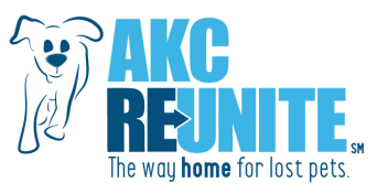 REUNITE_Two-Blue-Color-Logo