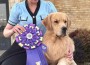 Top Pride’s Purple And Gold