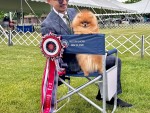 Artistry's Aslan All That Is Good