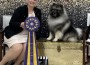 Athena Gregarious