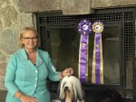 Barnstorm One Chance Fancy By Dzine