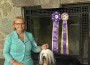 Barnstorm One Chance Fancy By Dzine
