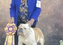 Brumar's Making Ole' Memories Come Alive