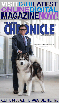 Canine-Chronicle-May-2026-Cover