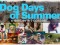 DogDaysofSummer
