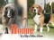 F A Hound