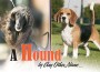 F A Hound