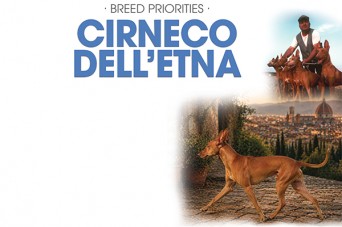 F BP Cirneco Dell'Etna
