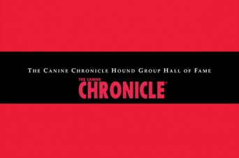F CC HOF Hound Group