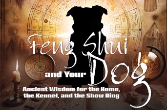 F Febg Shui Dog