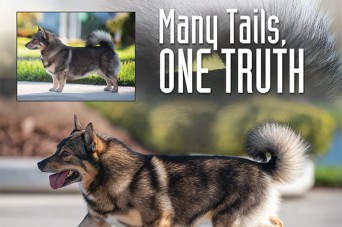 F Many Tails