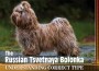 F Russian Tsvetnaya Bolonka