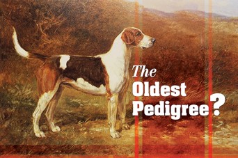 F The Oldest Pedigree