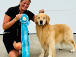 Goldrox Can’t Help Falling in Love with “Blue