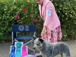 Havuherd Catchpen and Heelerhill’s Heaven Sent