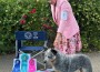 Havuherd Catchpen and Heelerhill’s Heaven Sent