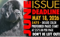 K9_DEADLINES_JUNe