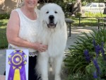 R Pyr Rocky Mountain Hi