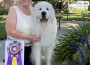 R Pyr Rocky Mountain Hi