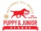 RC_AKC_Puppy-Junior-Stakes
