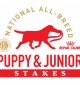 RC_AKC_Puppy-Junior-Stakes