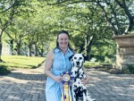 Spotlite’s Dappled Shining Light
