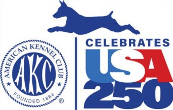 USA 250