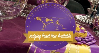 WKC Judges_bkg