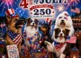 4th of july