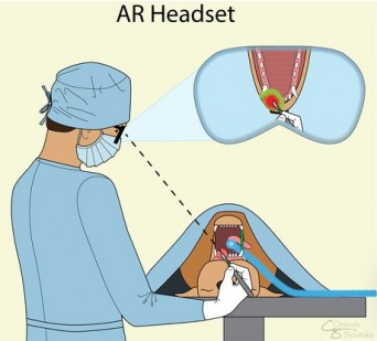 AR Vet Tools