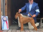 Breezy's Charmed By A Con-Artist