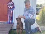 Breezys Charmed By A Con-Artist
