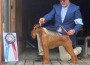 Breezy's Charmed By A Con-Artist