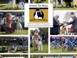 Congleton p106 June 2026