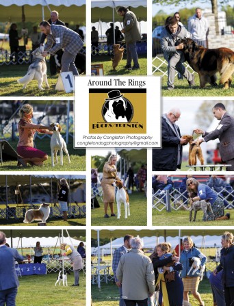 Congleton p106 June 2026