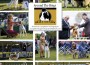 Congleton p106 June 2026